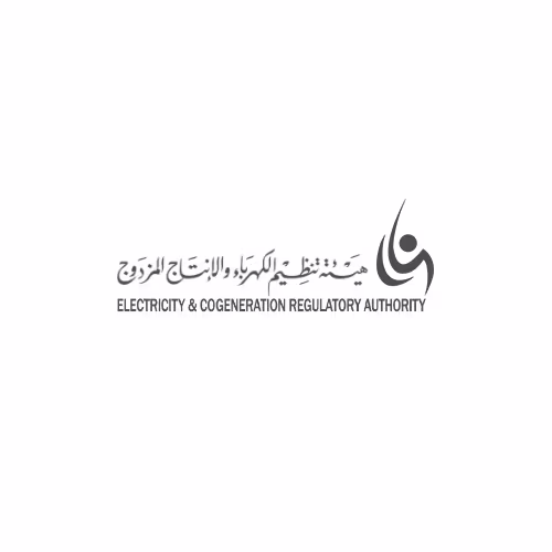 شريك نجاح تاج ستوديو